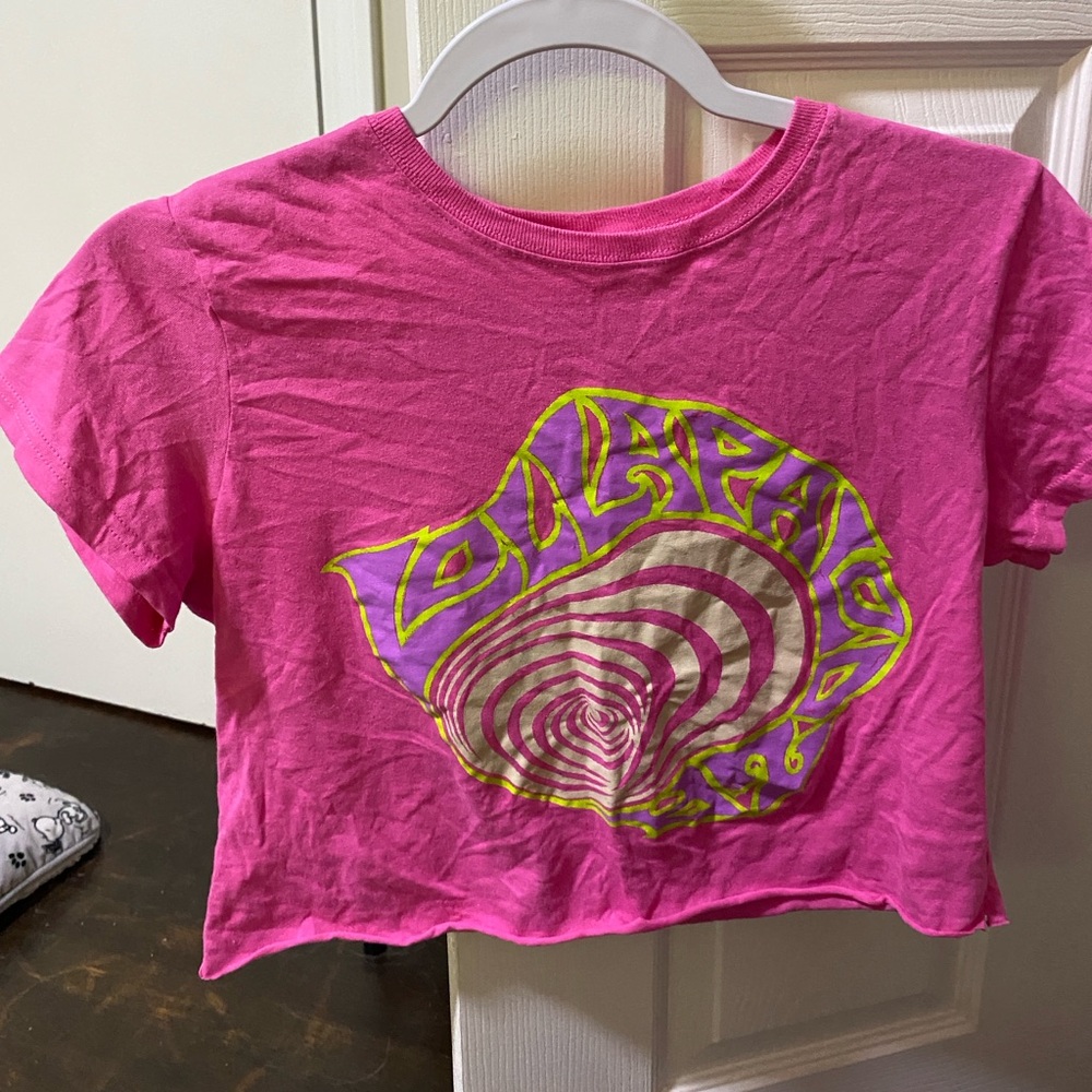 Lalapalooza Urban Outfitters Crop Top
